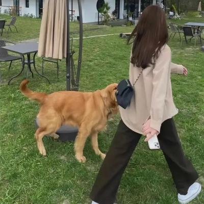 烈火之下